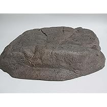 Amazon.com : Savio Small Brown Stone Cover for Compact